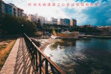 中汽协:上半年汽车出口量排名 上汽、奇瑞、长安列前三