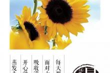 ����Э���ϰ����������������� ���������𡢳�����ǰ��