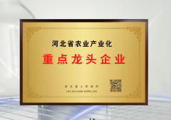 ֱ֪�����ƶ�̬ | ֱ