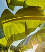 别被化妆品成分表难住