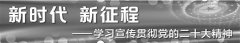 以新能源汽车为抓手